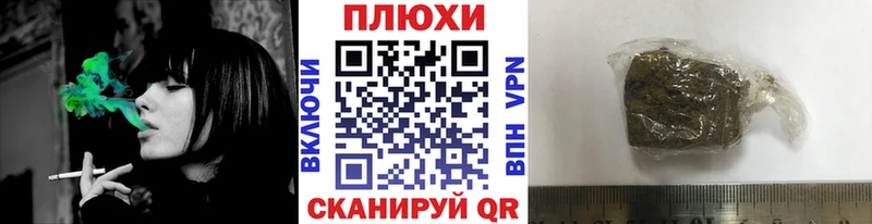 ГАШ Premium Будённовск