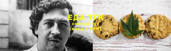 спиды Богородицк