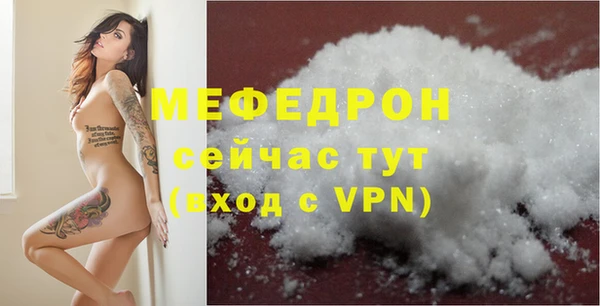 спиды Богородицк