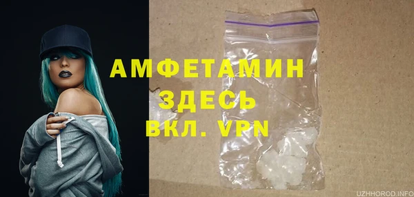 спайс Богданович