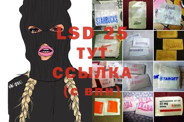 спайс Богданович
