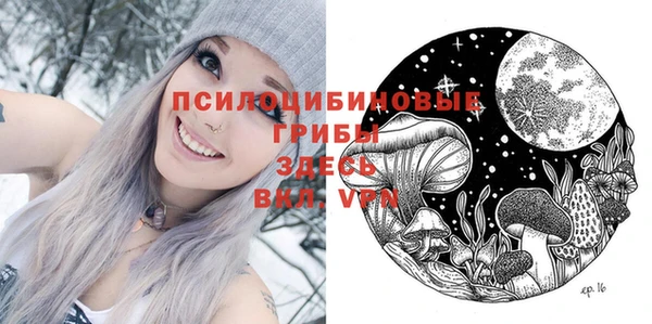 спайс Богданович