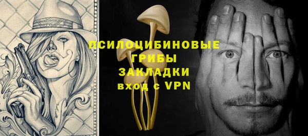 спайс Богданович