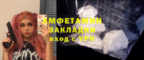 спиды Богородицк