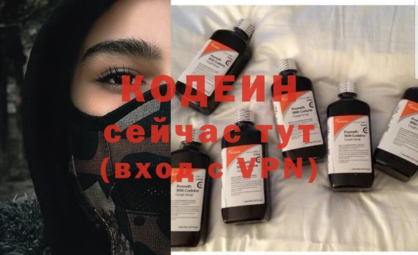 спиды Богородицк