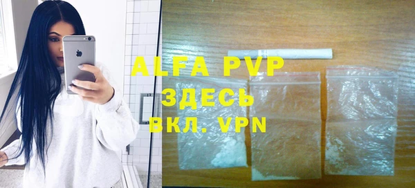 спайс Богданович